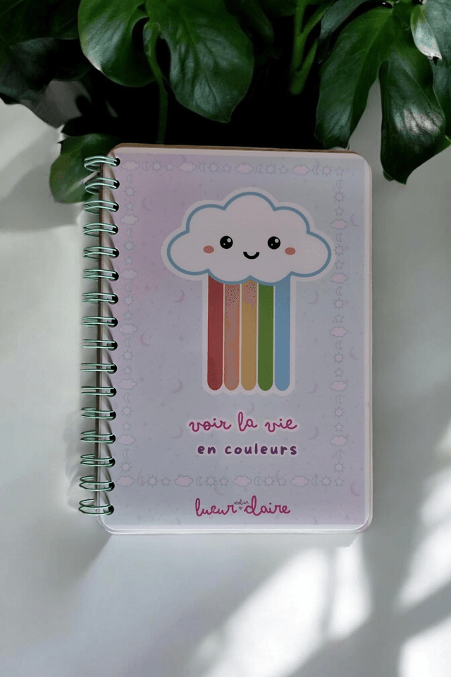 Carnet Rainbow A5 Spirale 60 pages