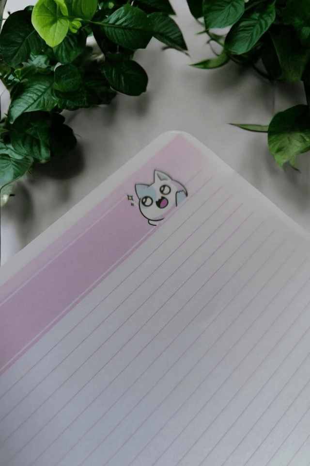 Carnet chibichat A5 Spirale 120 pages 
